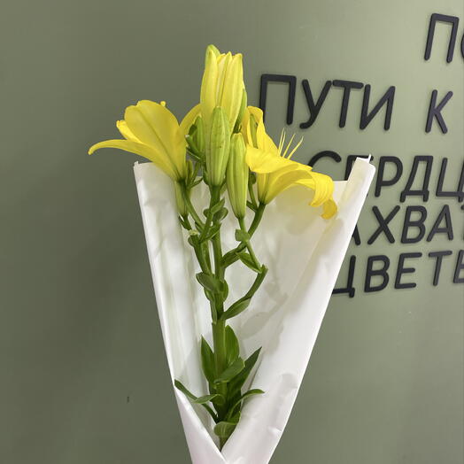 Комплимент Лилия