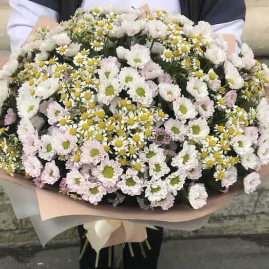 Букет из разных сортов кустовых ромашек