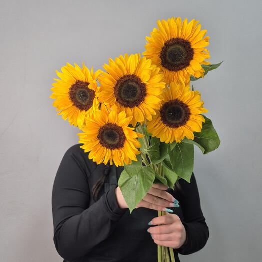 🔥АКЦИЯ🔥5 солнечных подсолнухов 🌻
