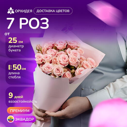7 кустовых роз Вега
