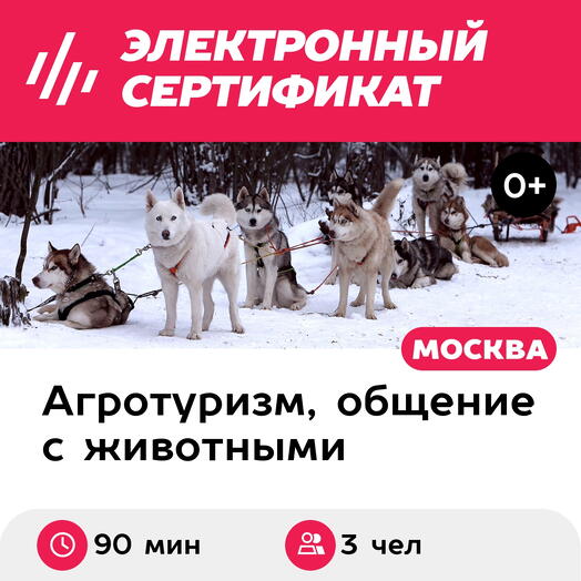 Подарочный сертификат Экскурсия к северным оленям и собакам, 1 взрослый + 2 детей в выходной день