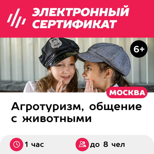 Подарочный сертификат Детективный детский квест на конюшне, до 8 человек (1 час) (Москва)
