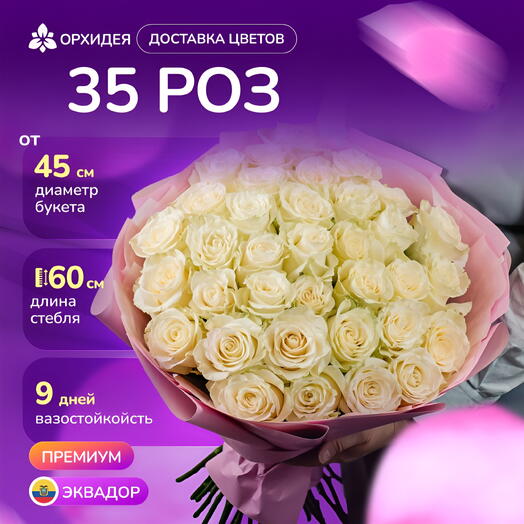35 роз Мондиаль
