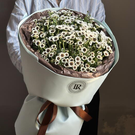 Мини ромашки