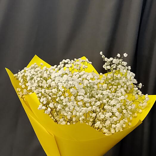 Букет из гипсофилы