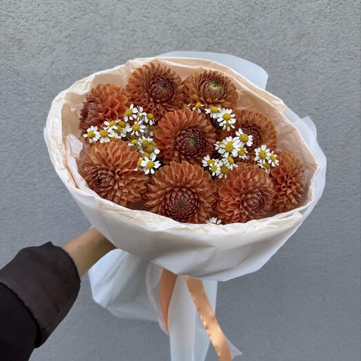 Георгины с ромашками