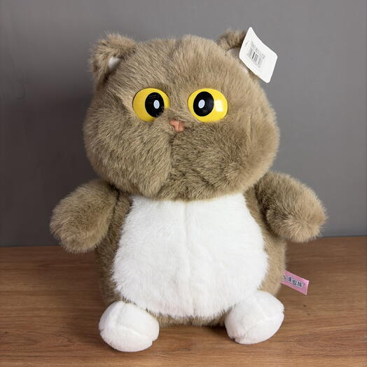 Кот с большими глазами