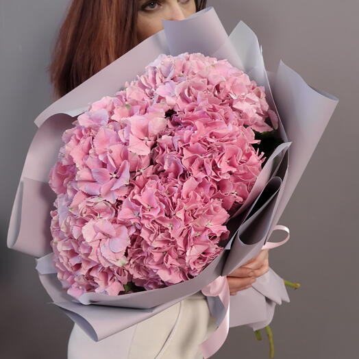 5 hydrangeas Juliet