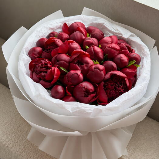 PREMIUM BURGUNDY PEONIES