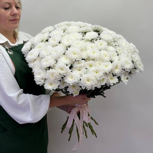 244 Алтайская кустовая хризантема 15 шт. под ленту