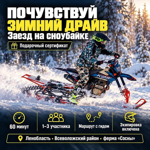 Подарочный сертификат «Заезд на Сноубайке» (60 минут, 1 человек)
