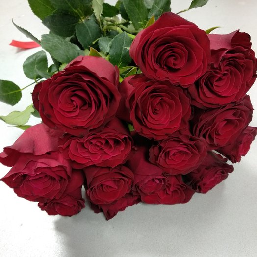Roses 50 cm