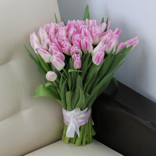 51 розовый тюльпан