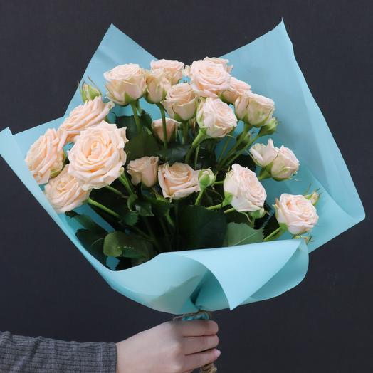 Rosa de arbusto en turquesa