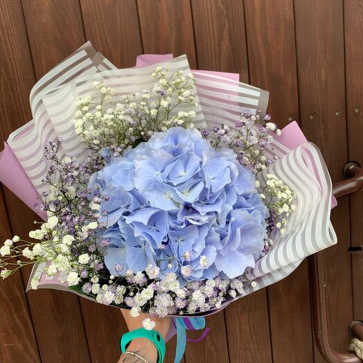 Bouquet of blue hydrangea and gypsophila