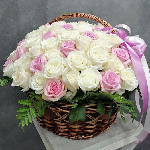 101 rose