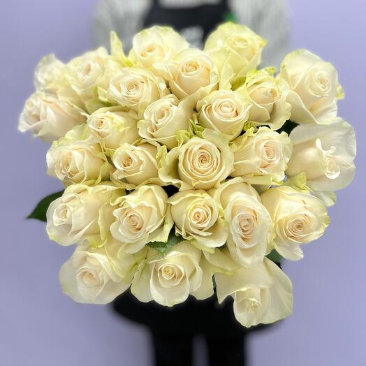 Rosas blancas como la nieve