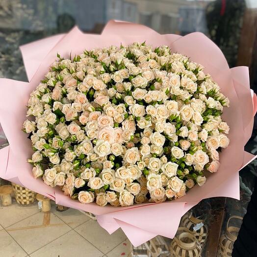 Ramo de rosas arbustos Tanya 69 piezas