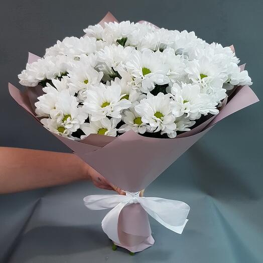Мои сны