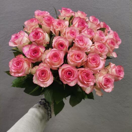 29 rosas Rosadas
