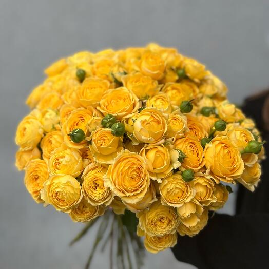 Yellow Dau