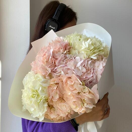 Hydrangeas of delicate shades 5 pcs