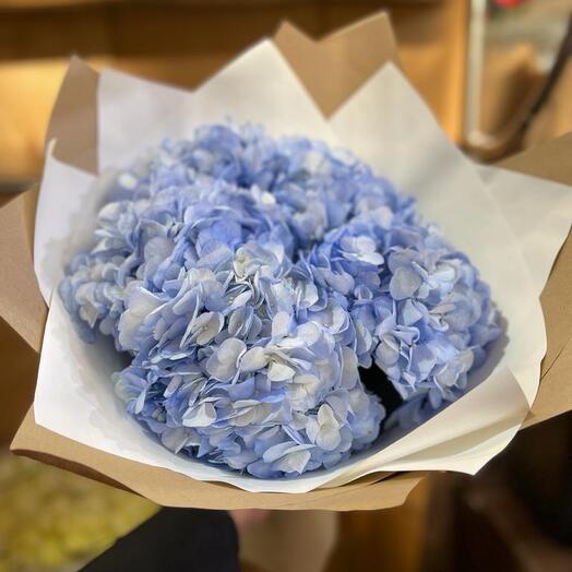 Hydrangeas are blue
