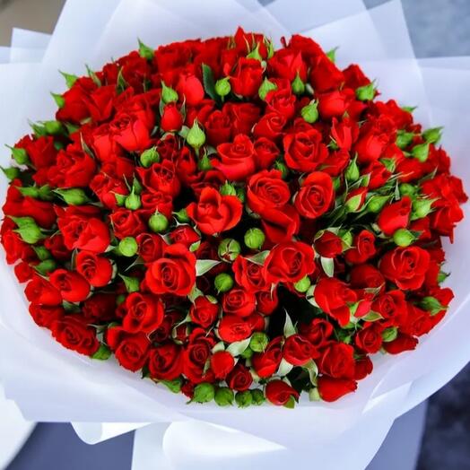Red Baby roses bouquet