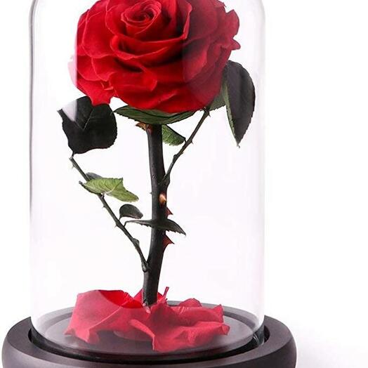 Red infinity rose single