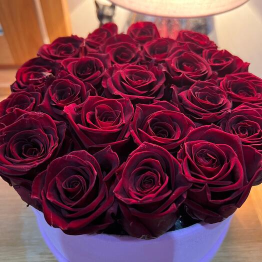 Burgundy Infinity roses