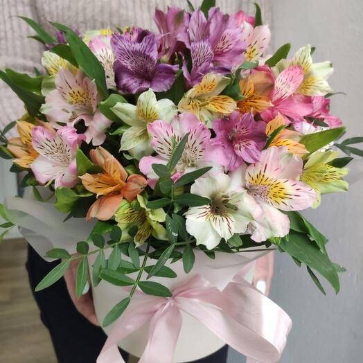 Alstroemeria en una Caja de sombreros