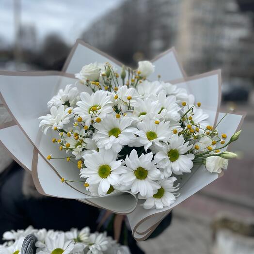 Ромашковое поле