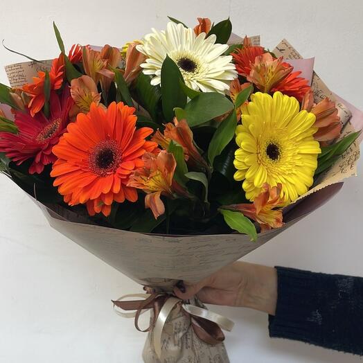 Gerbera