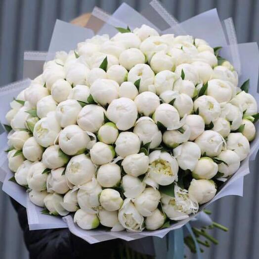 Bouquet of 101 white Peonies
