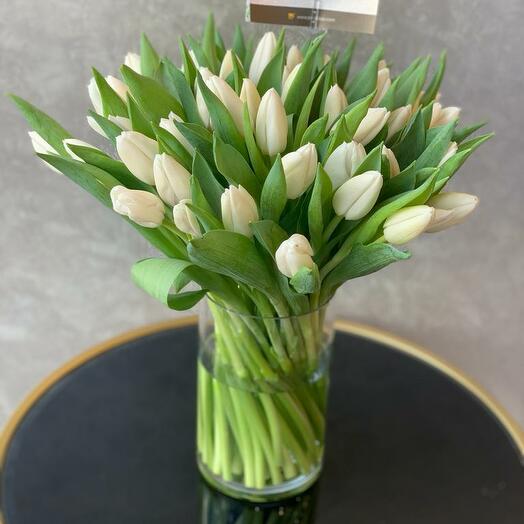 White tulips in Vase