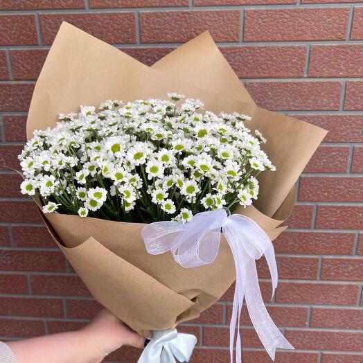 Daisies