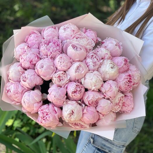 Пионы розовые, Сара Бернар, 37 штук