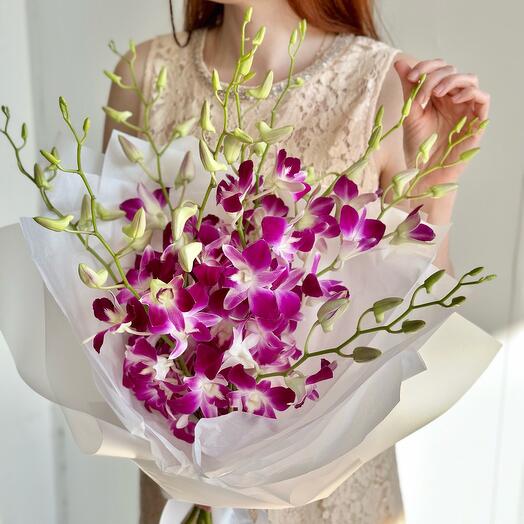 Orchid Dendrobium