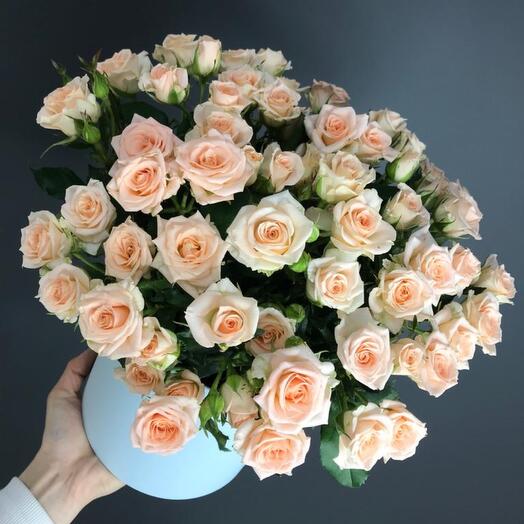 Коробочка Creamy Blue