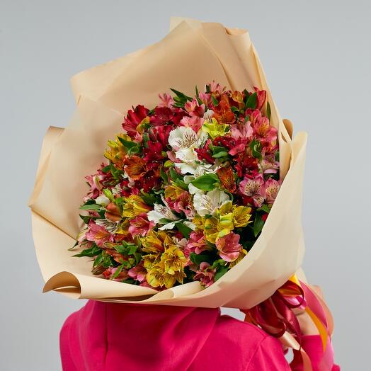 Alstroemeria monobook size L