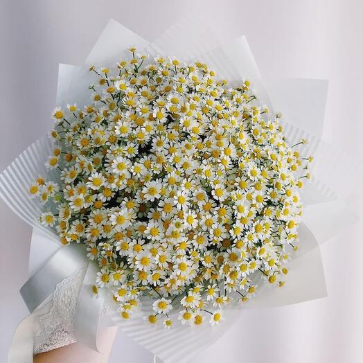 Bouquet of 25 bush daisies