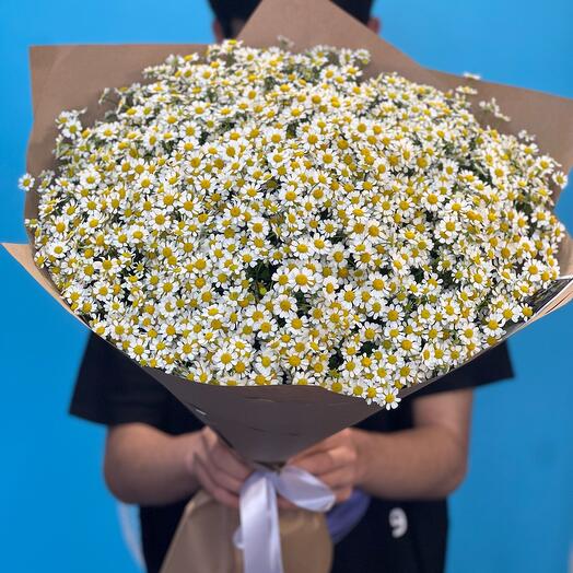 Букет из 51 ромашек
