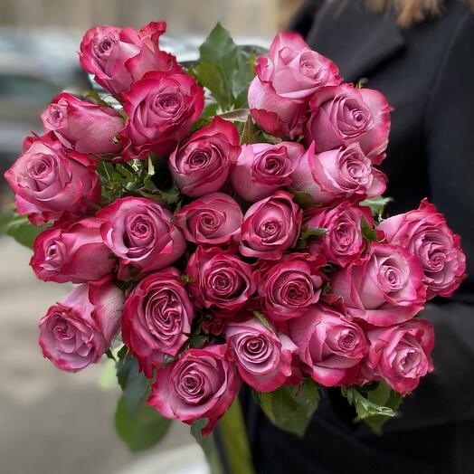 Bouquet of 25 lilac Ecuadorian roses Deep Purple premium 50-60 cm