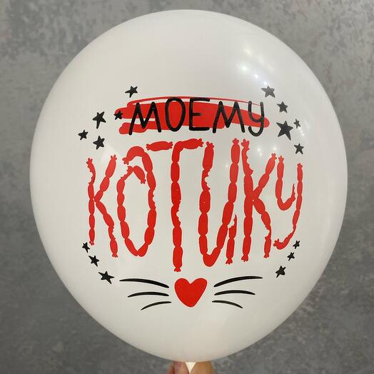 Шар латексный с обработкой « моему котику»