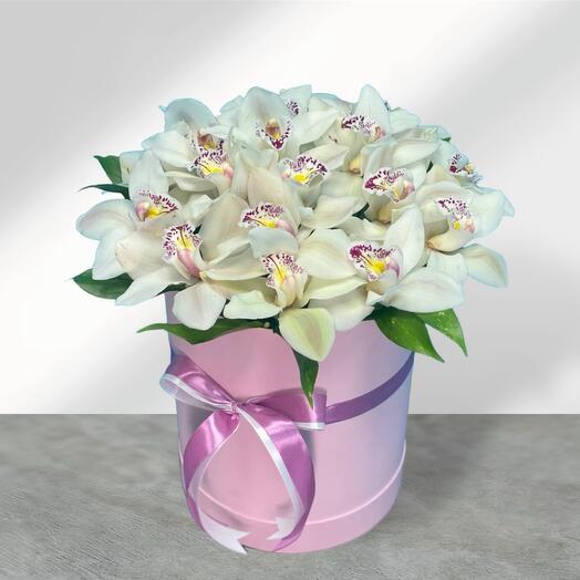 Orchids in a box