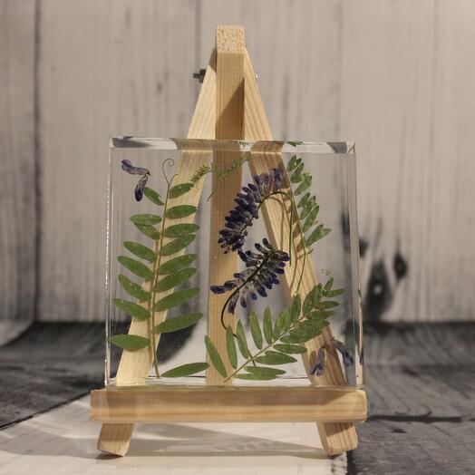 Декоративное ботаническое панно "Горошек"