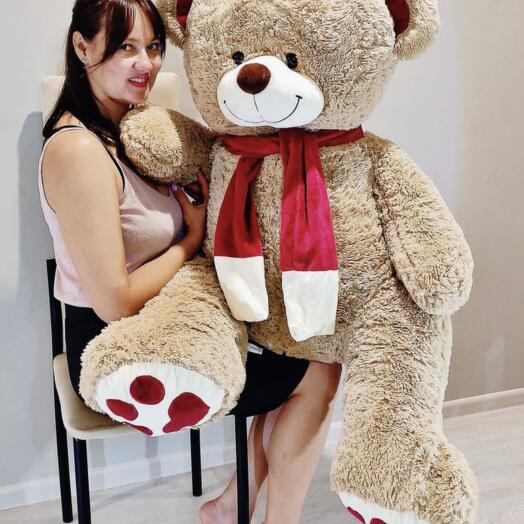 Teddy bear Kelvin 150 Coffee
