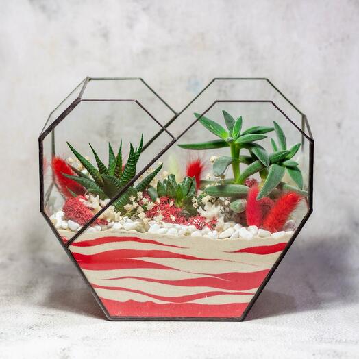 Флорариум М. Красное сердце