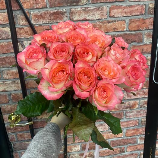 Jamila rose 17 PCs
