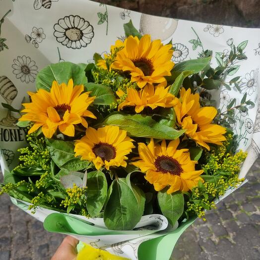 6 girasoli